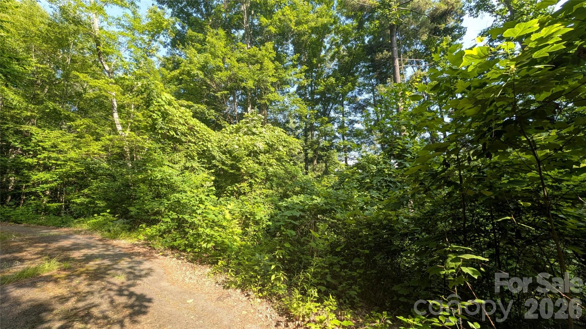00 Chestnut Walk #3,4,5 - Photo 15