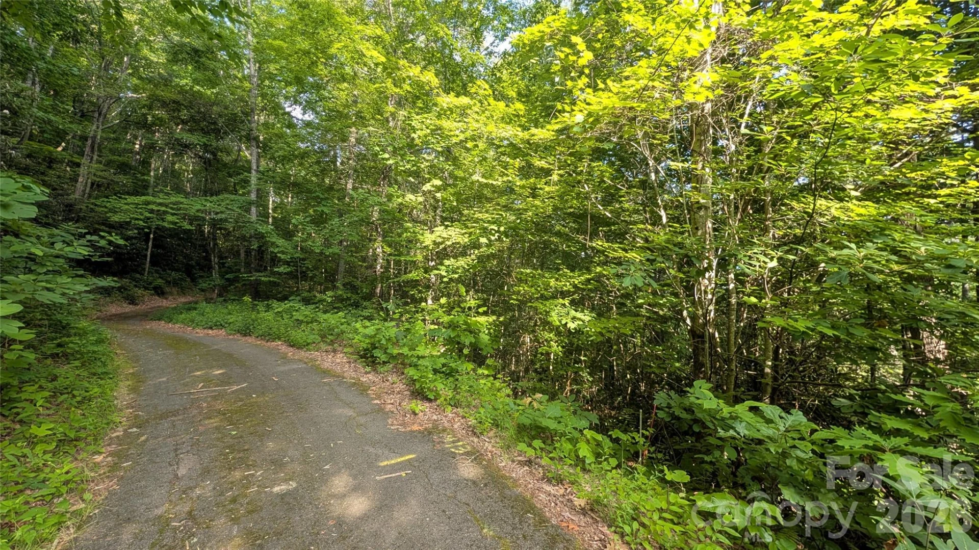 00 Chestnut Walk #3,4,5 - Photo 16