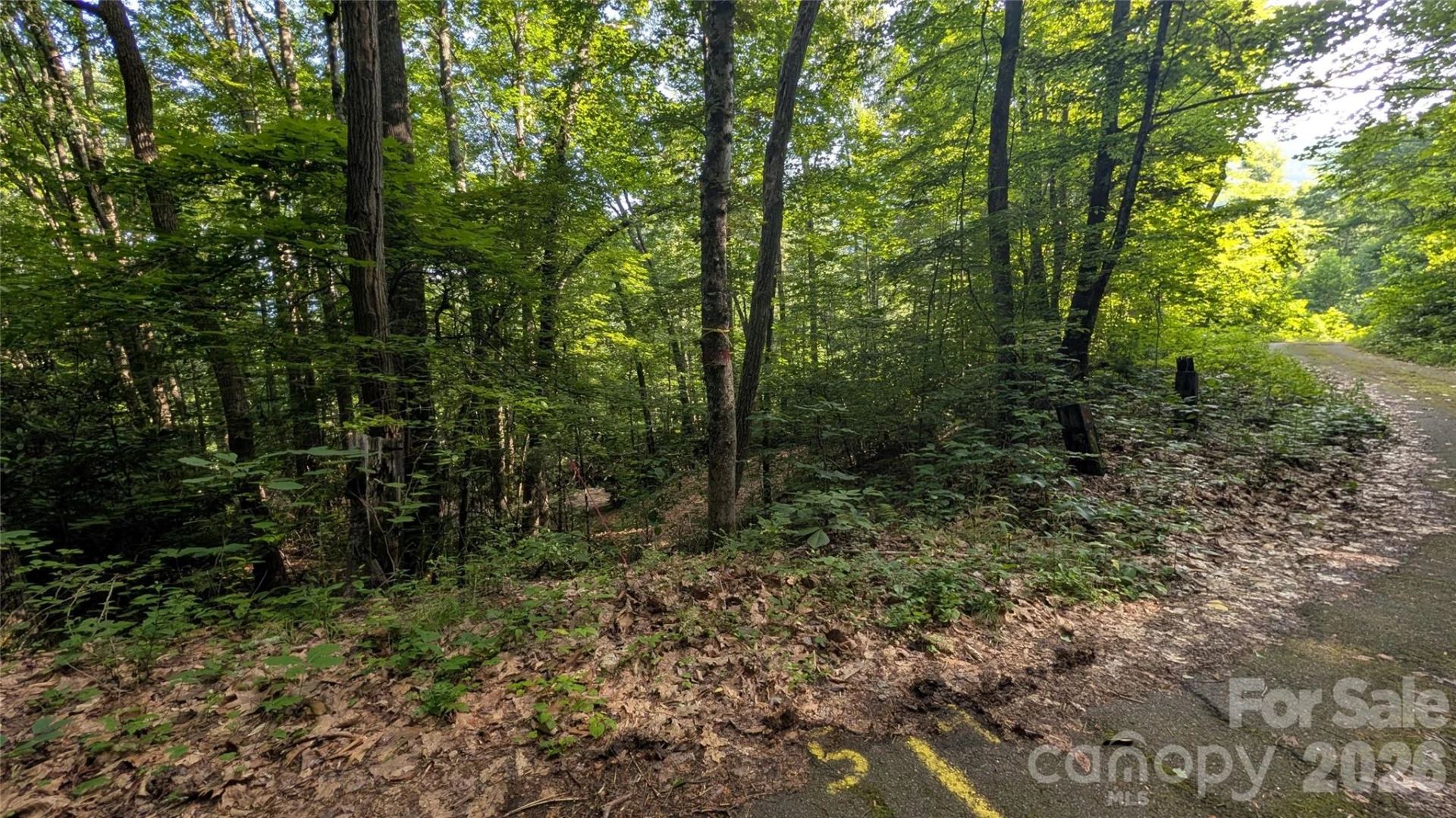 00 Chestnut Walk #3,4,5 - Photo 17