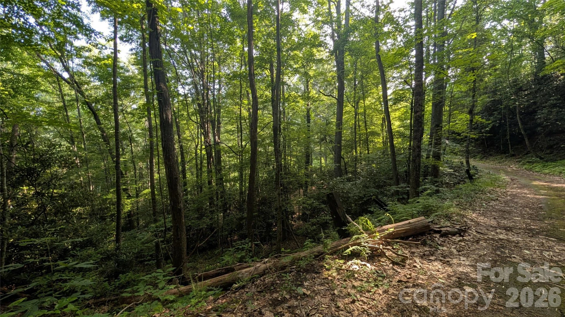00 Chestnut Walk #3,4,5 - Photo 20