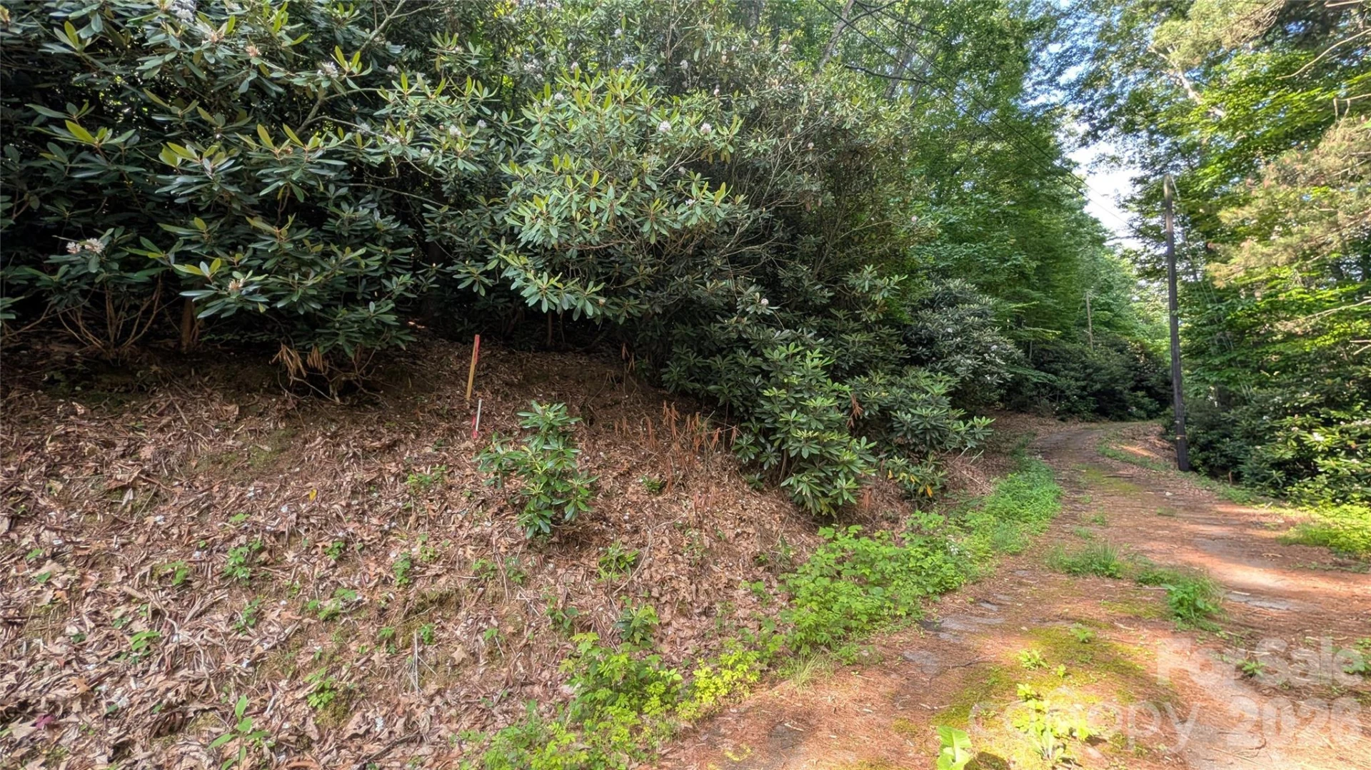 00 Chestnut Walk #3,4,5 - Photo 7