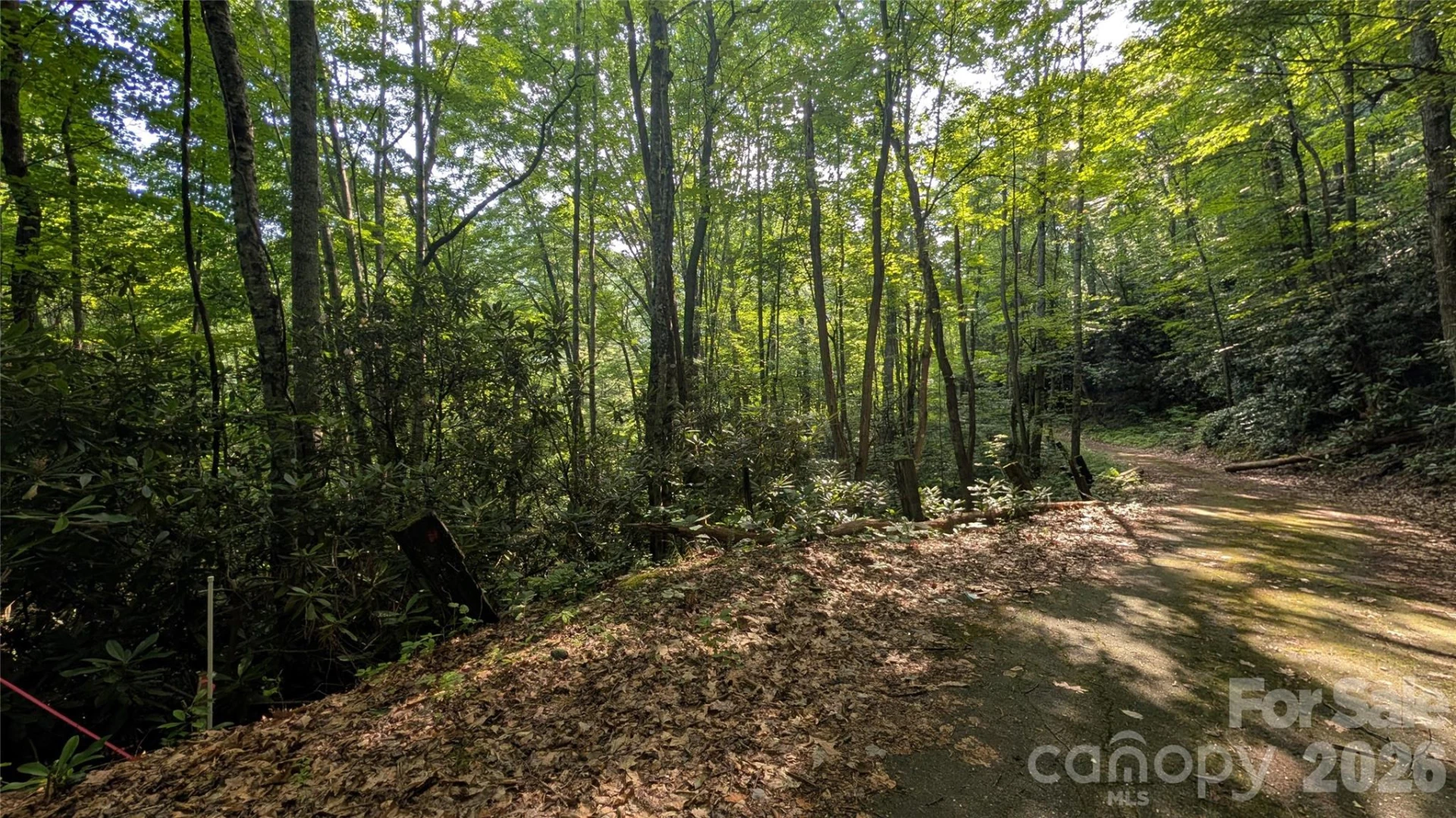 00 Chestnut Walk #3,4,5 - Photo 10