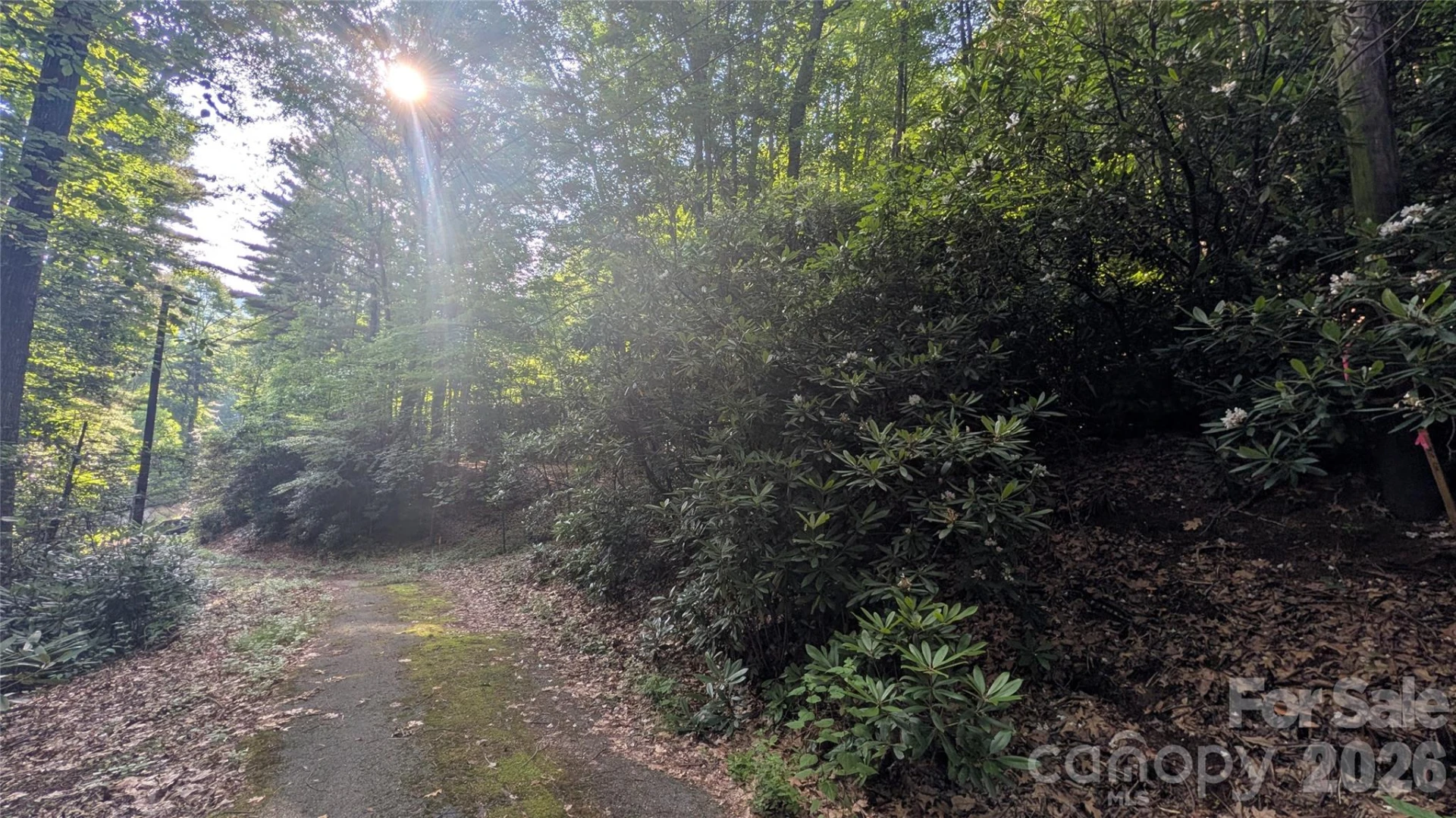 00 Chestnut Walk #3,4,5 - Photo 11