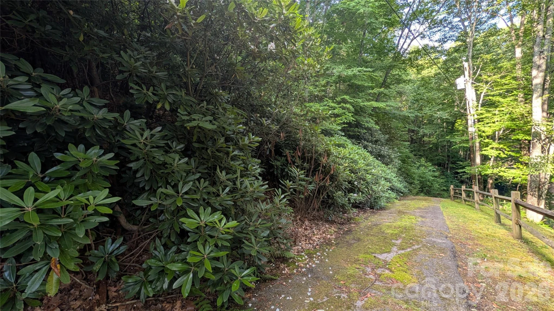 00 Chestnut Walk #6,7,8 - Photo 12