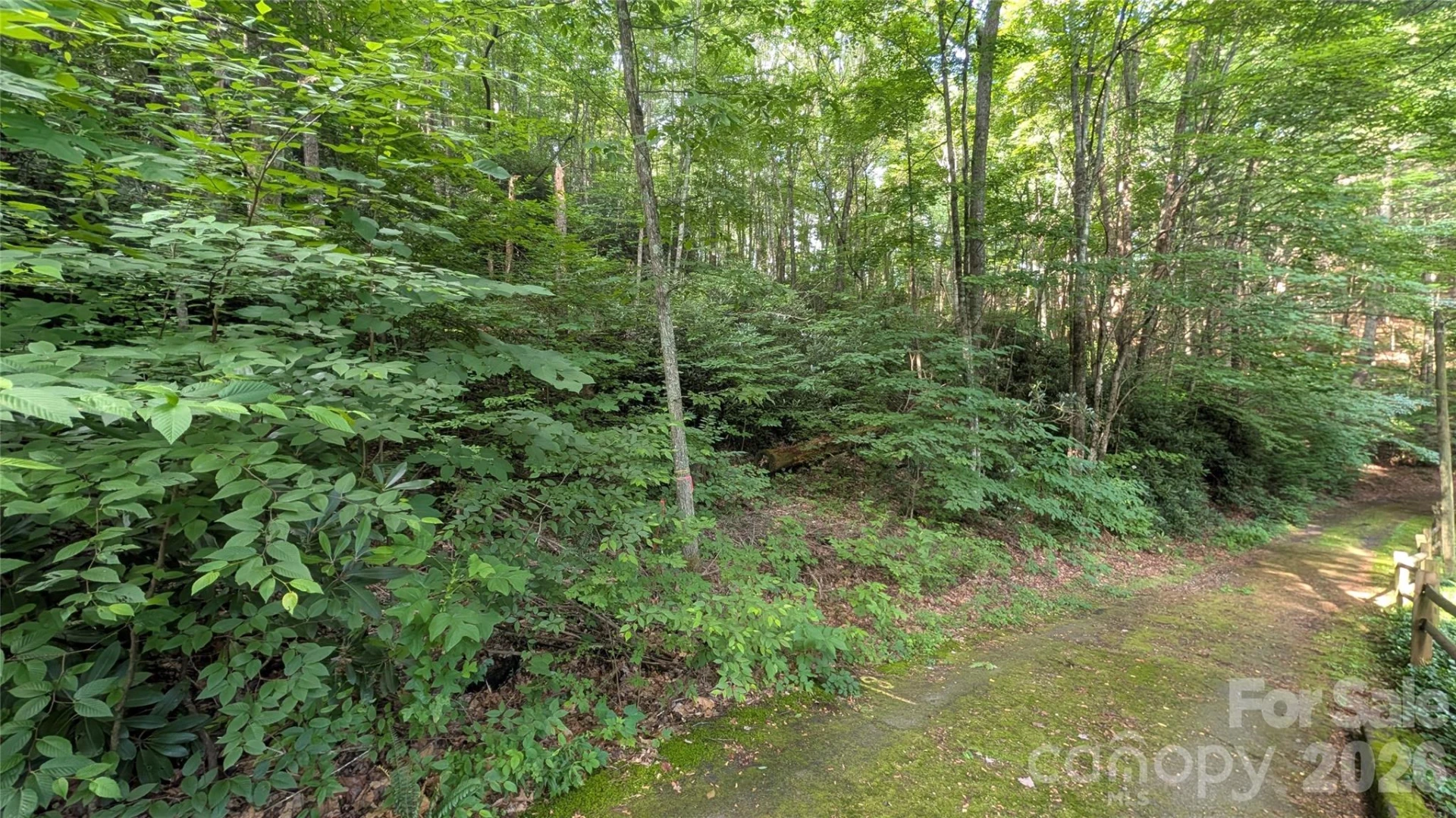 00 Chestnut Walk #6,7,8 - Photo 13
