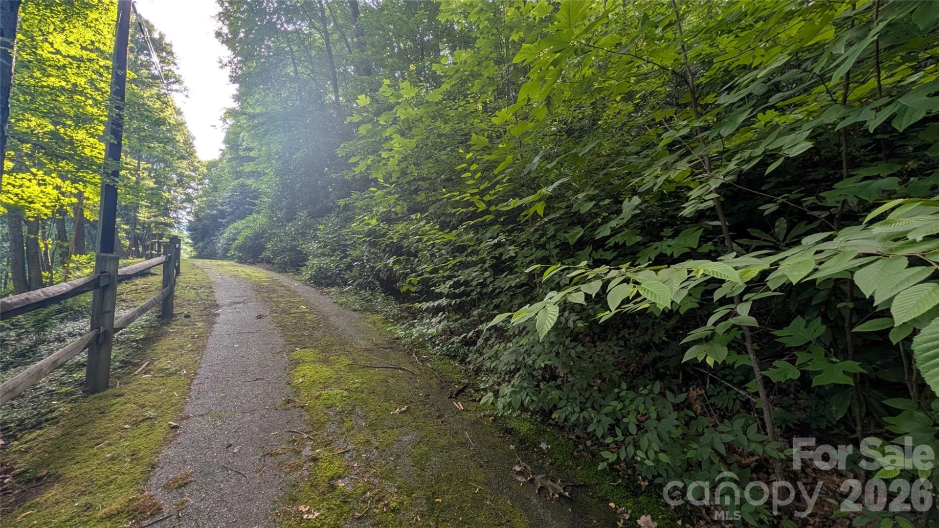 00 Chestnut Walk #6,7,8 - Photo 14