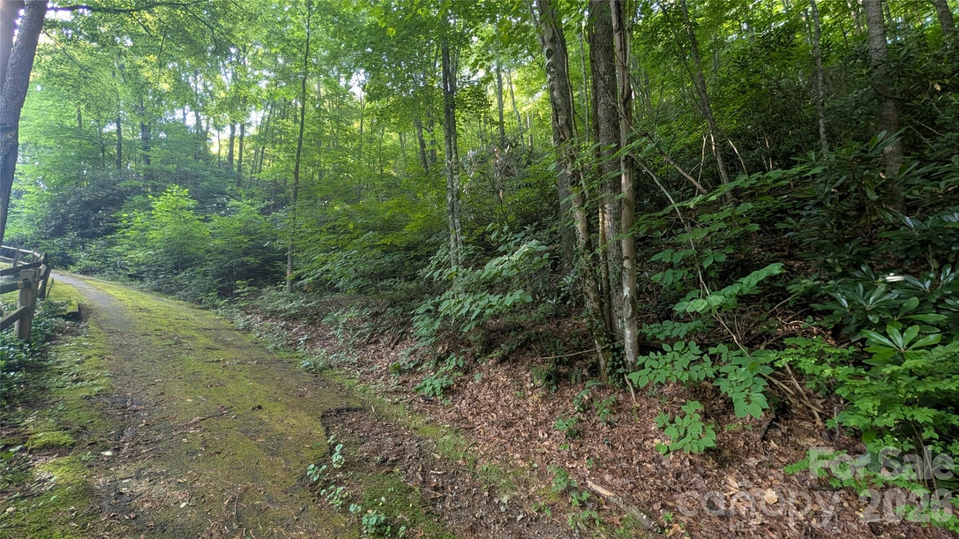 00 Chestnut Walk #6,7,8 - Photo 15