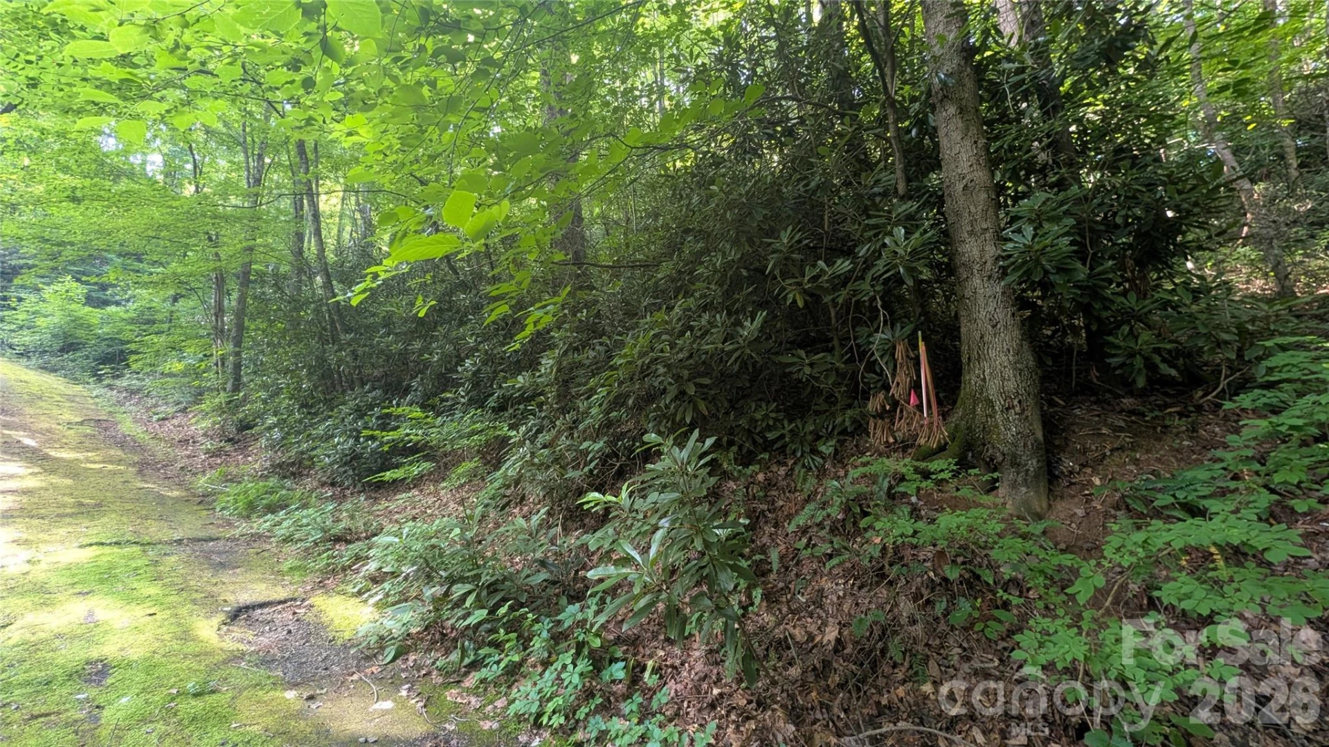 00 Chestnut Walk #6,7,8 - Photo 16