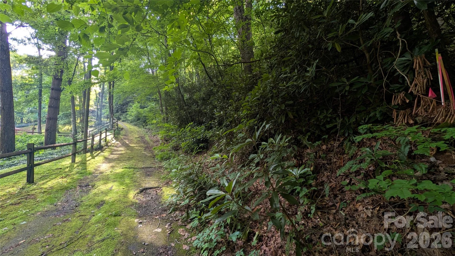 00 Chestnut Walk #6,7,8 - Photo 17