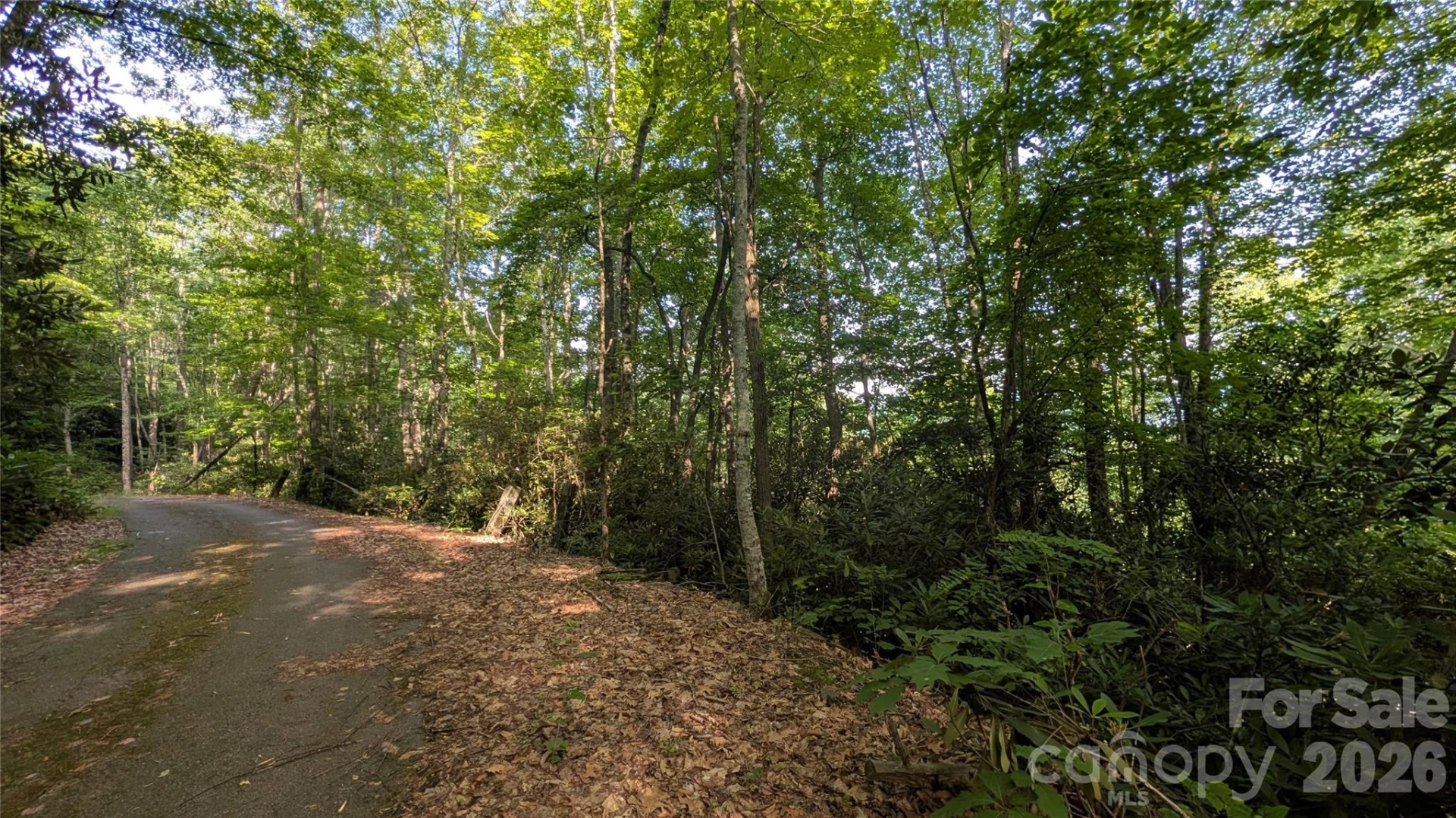 00 Chestnut Walk #6,7,8 - Photo 18