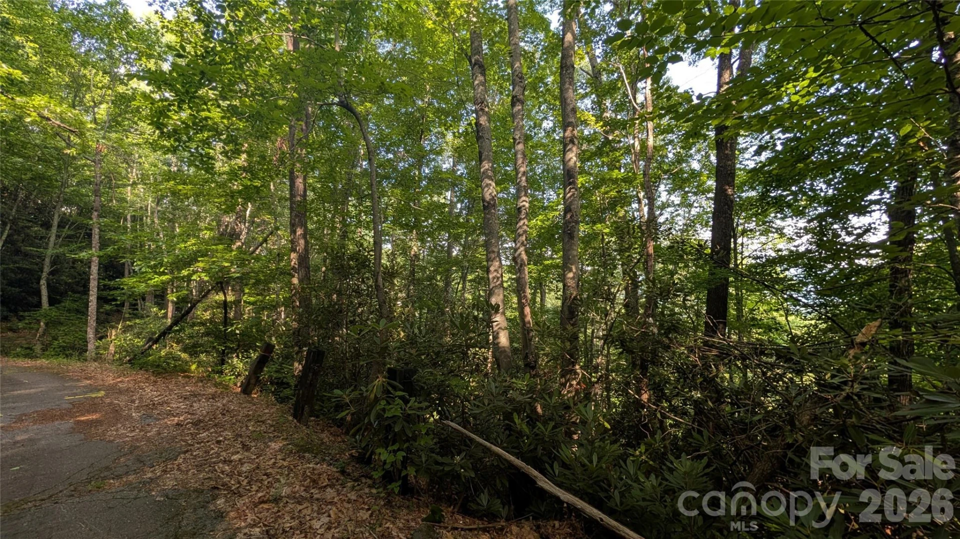 00 Chestnut Walk #6,7,8 - Photo 19