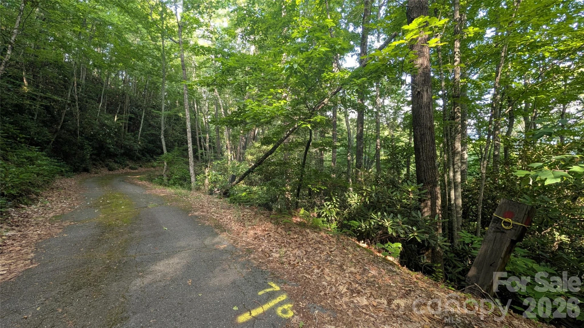 00 Chestnut Walk #6,7,8 - Photo 20