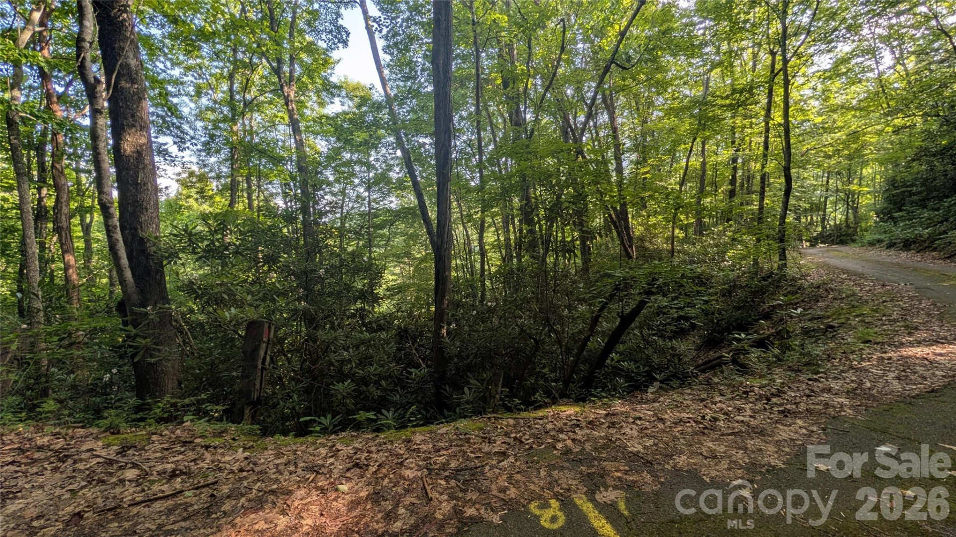 00 Chestnut Walk #6,7,8 - Photo 21