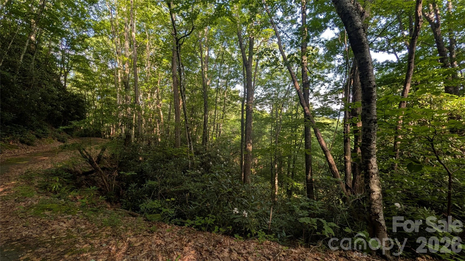 00 Chestnut Walk #6,7,8 - Photo 4