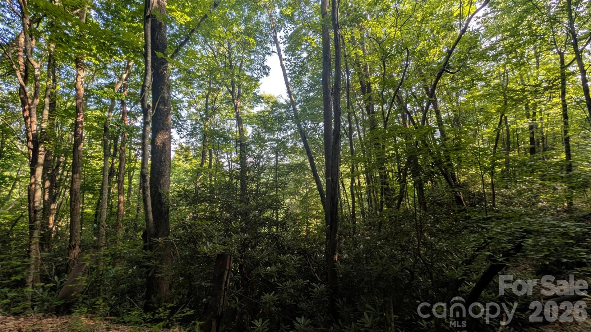 00 Chestnut Walk #6,7,8 - Photo 22