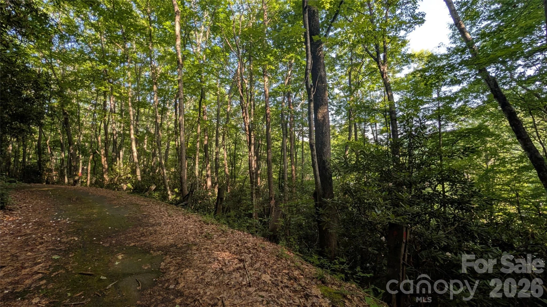 00 Chestnut Walk #6,7,8 - Photo 23