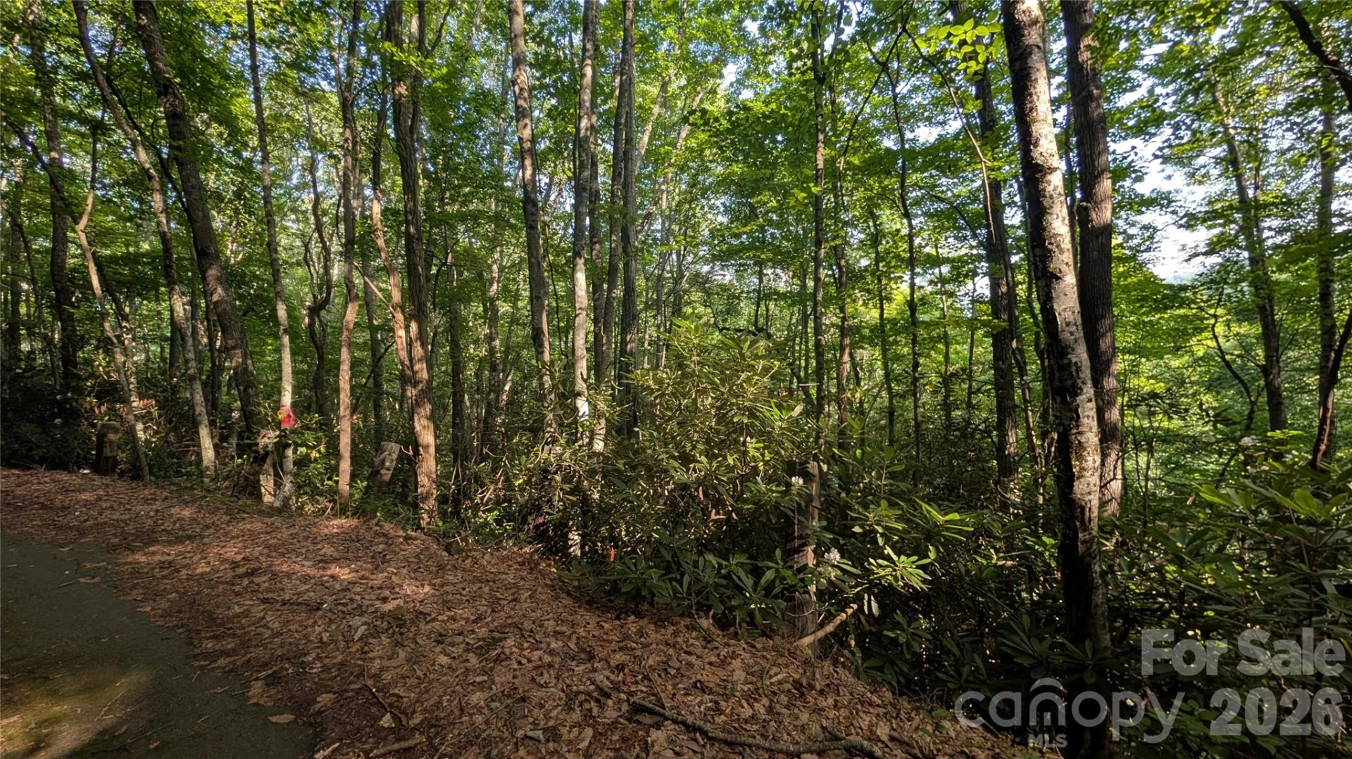 00 Chestnut Walk #6,7,8 - Photo 24