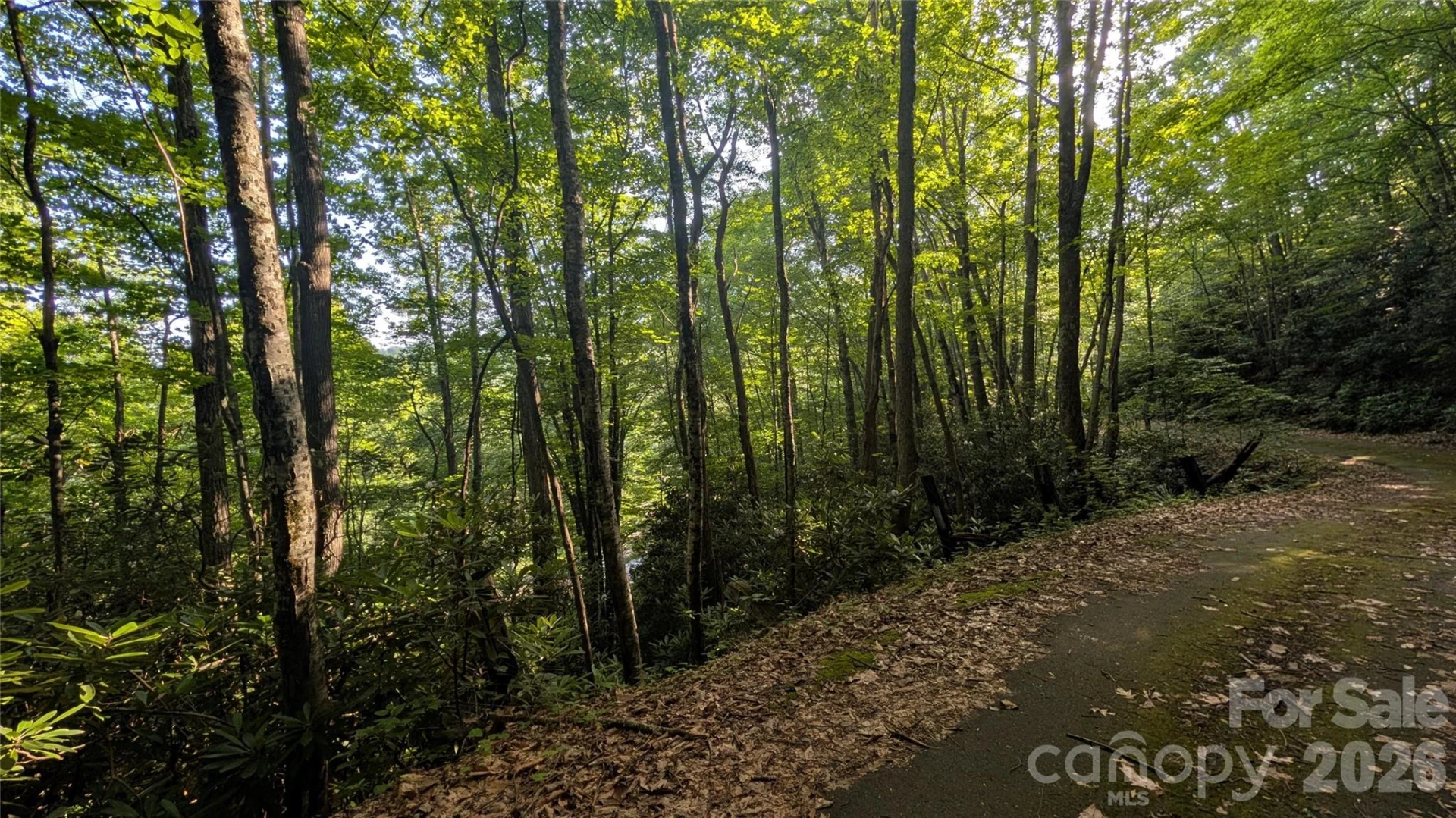 00 Chestnut Walk #6,7,8 - Photo 25