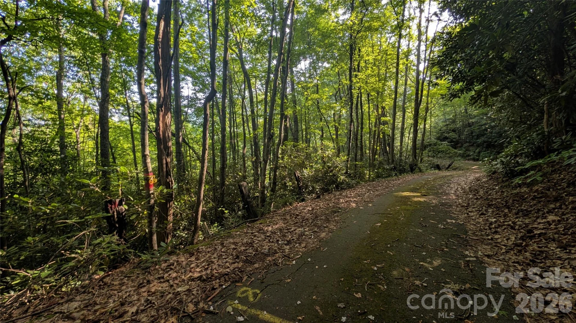 00 Chestnut Walk #6,7,8 - Photo 26