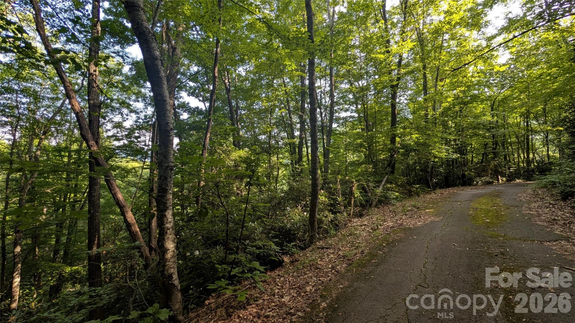 00 Chestnut Walk #6,7,8 - Photo 7