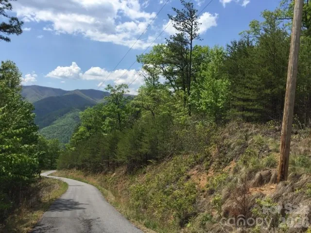 225 Lucerne Drive, Canton, NC, 28716
