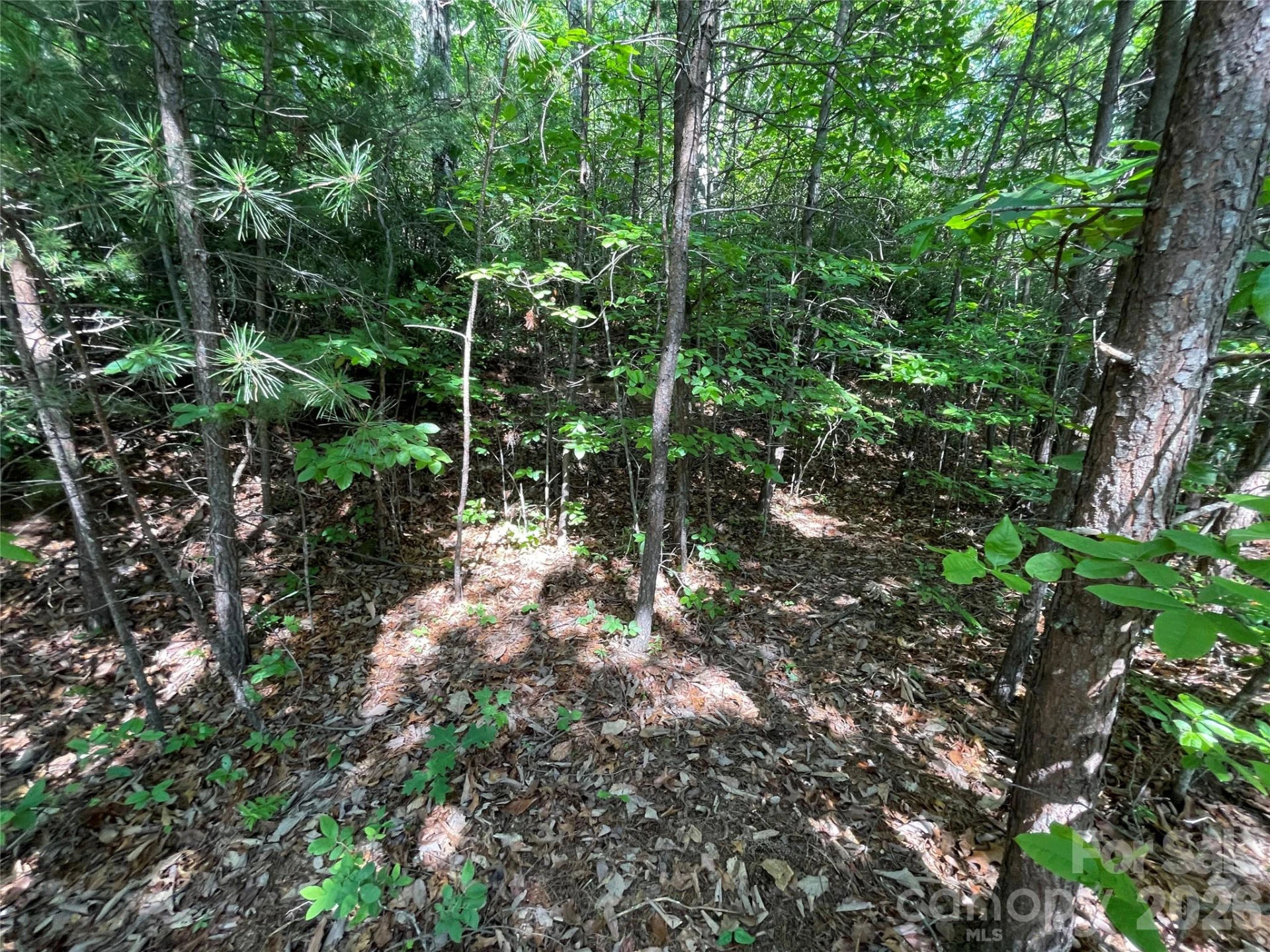 225 Lucerne Drive - Photo 13