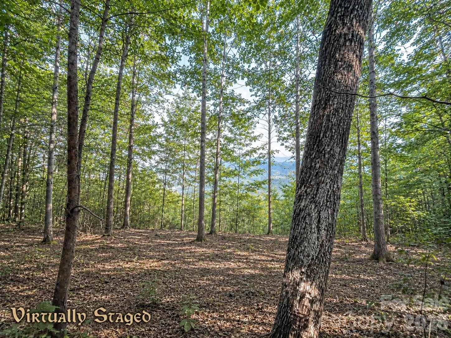 225 Lucerne Drive - Photo 16