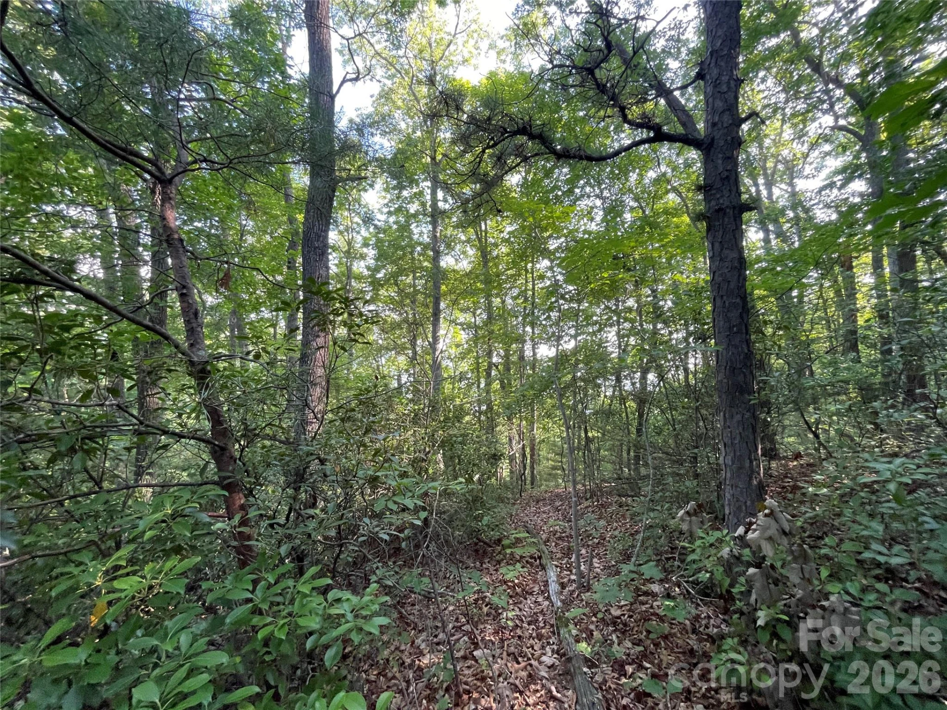 225 Lucerne Drive - Photo 17