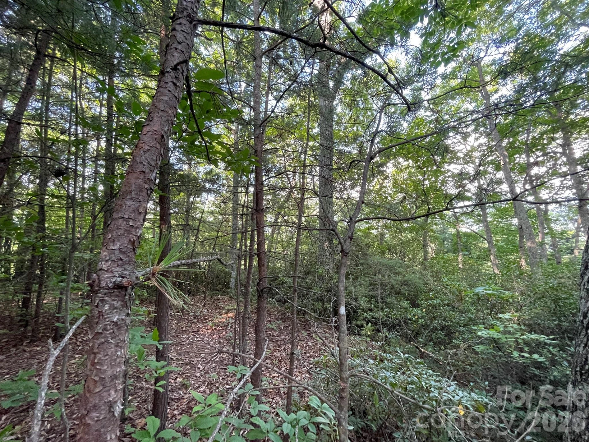 225 Lucerne Drive - Photo 18