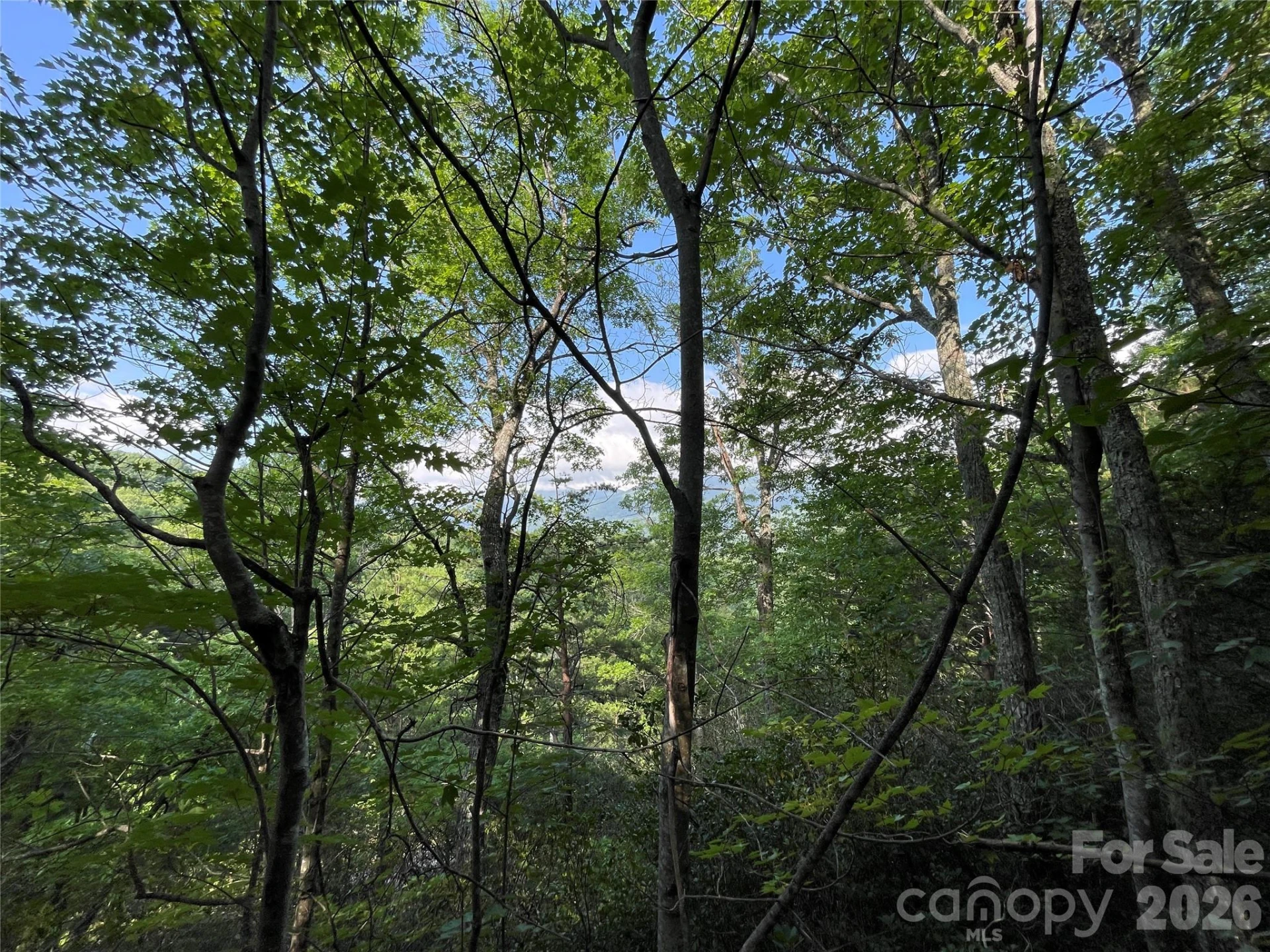 225 Lucerne Drive - Photo 19