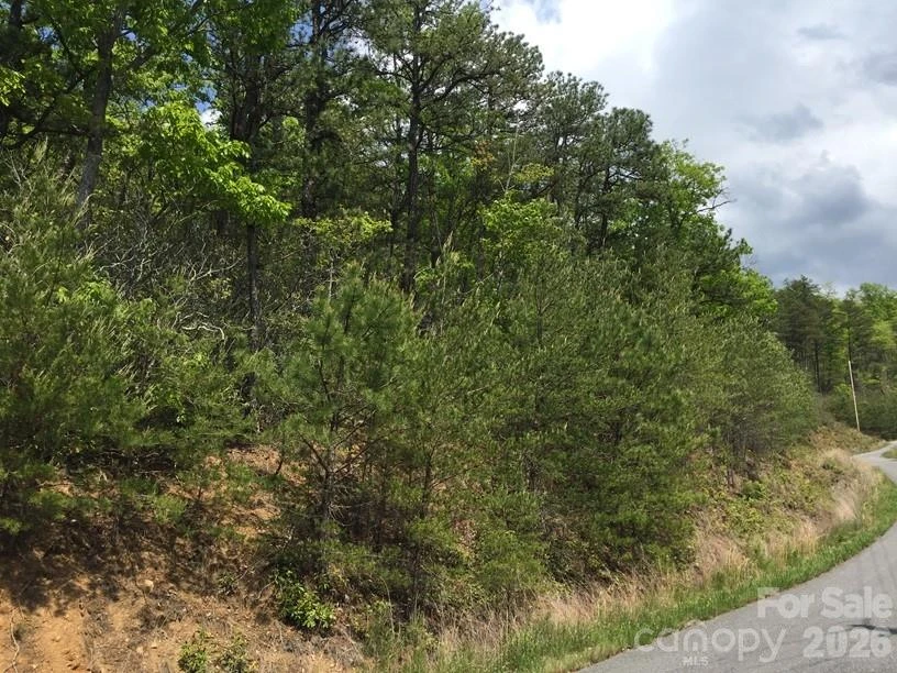 225 Lucerne Drive - Photo 27