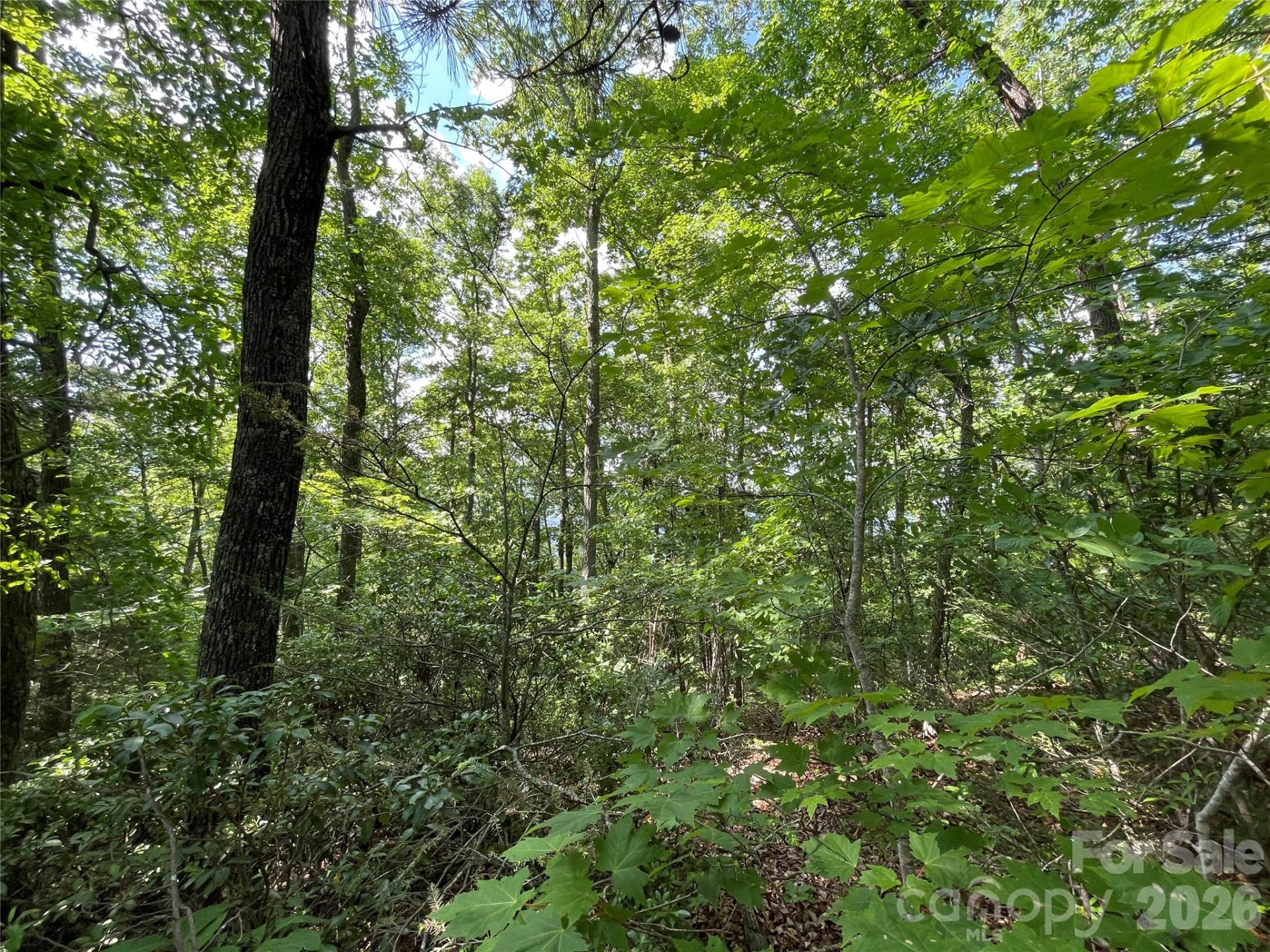 225 Lucerne Drive - Photo 29