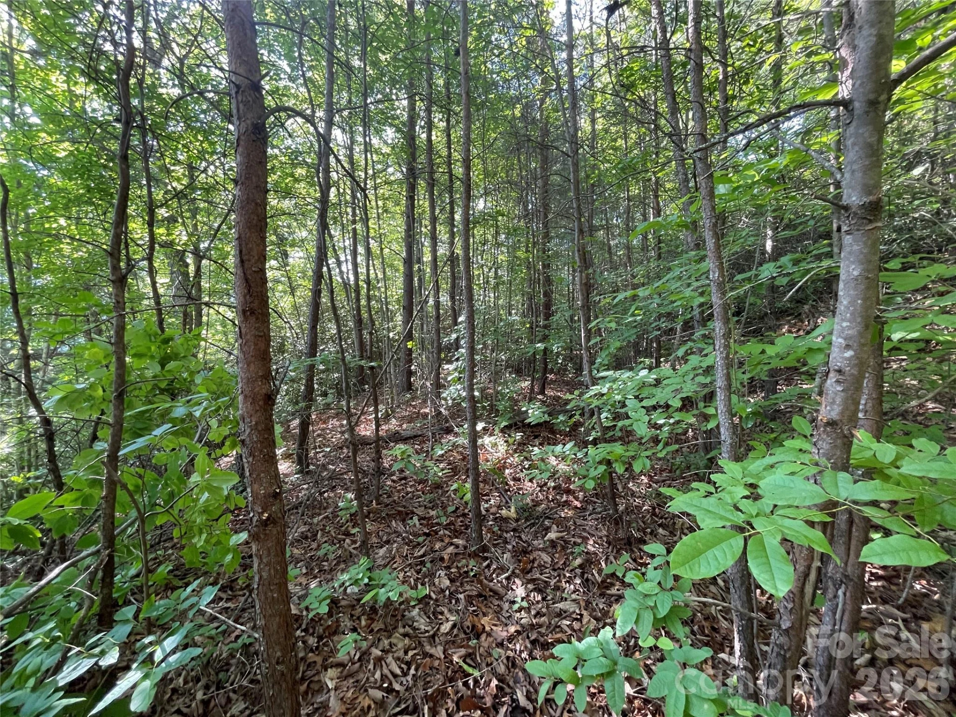 225 Lucerne Drive - Photo 30