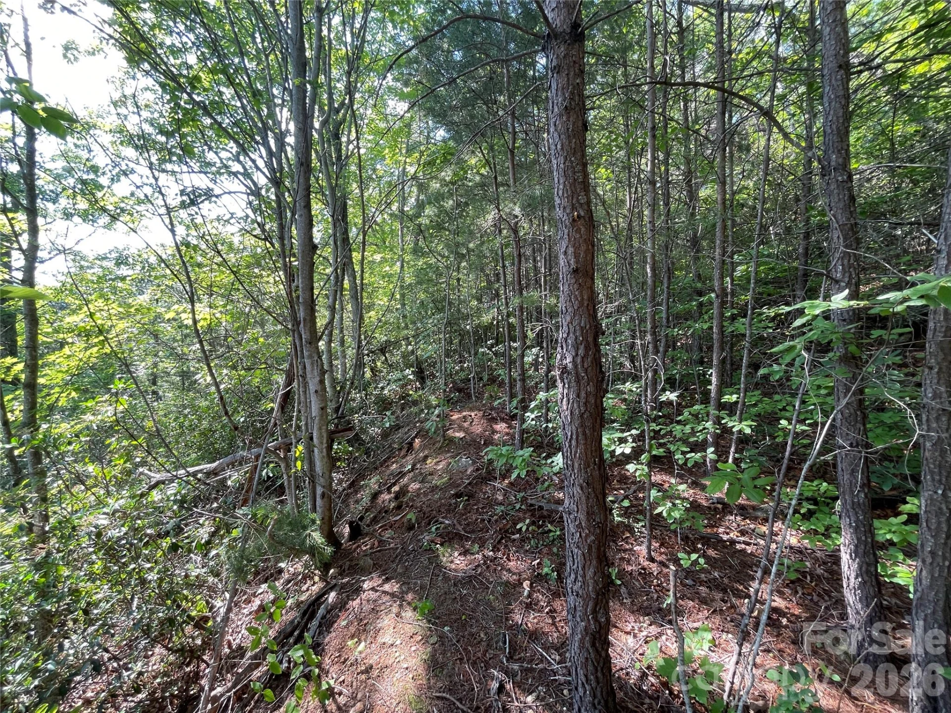 225 Lucerne Drive - Photo 32