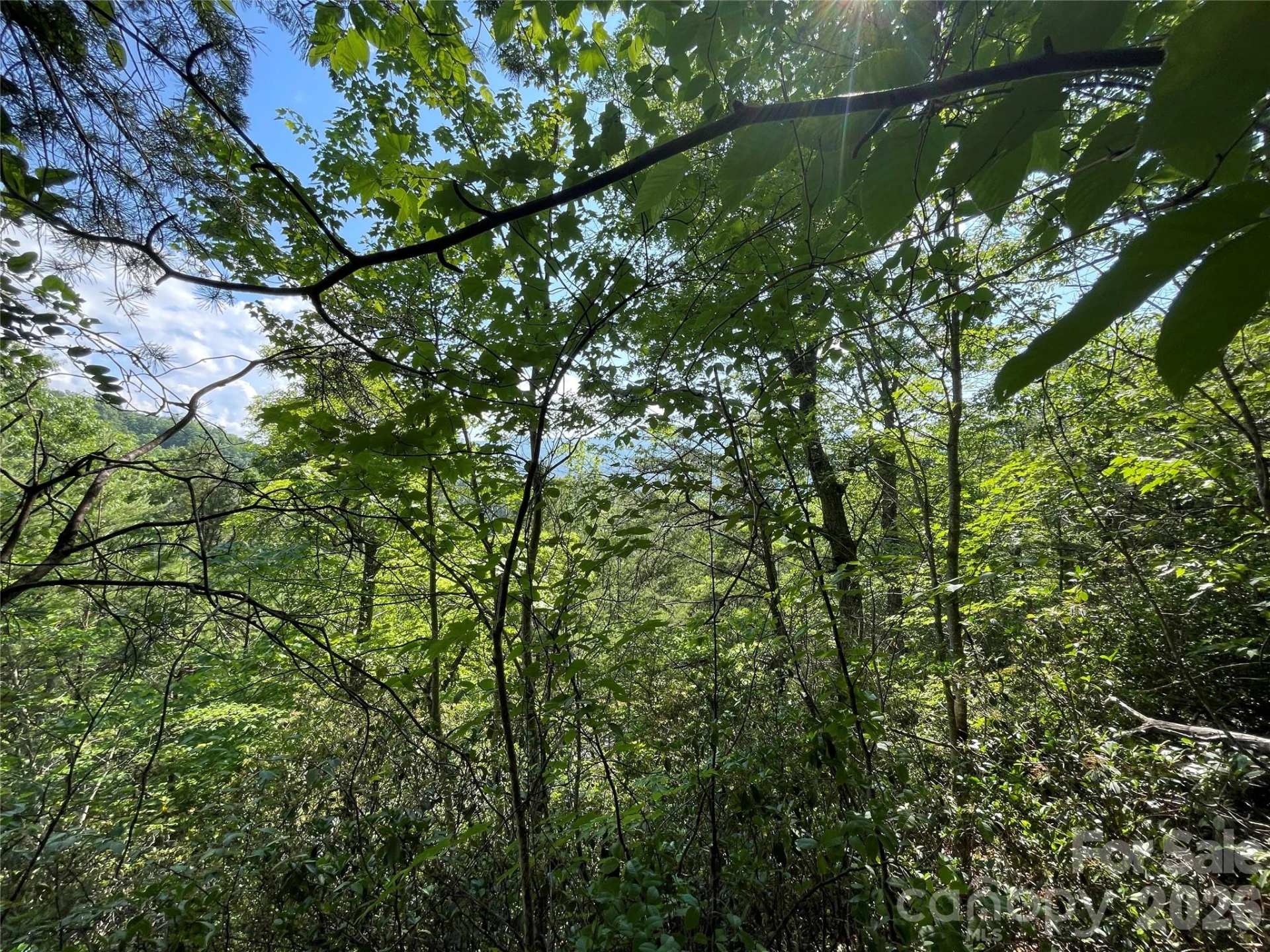 225 Lucerne Drive - Photo 33