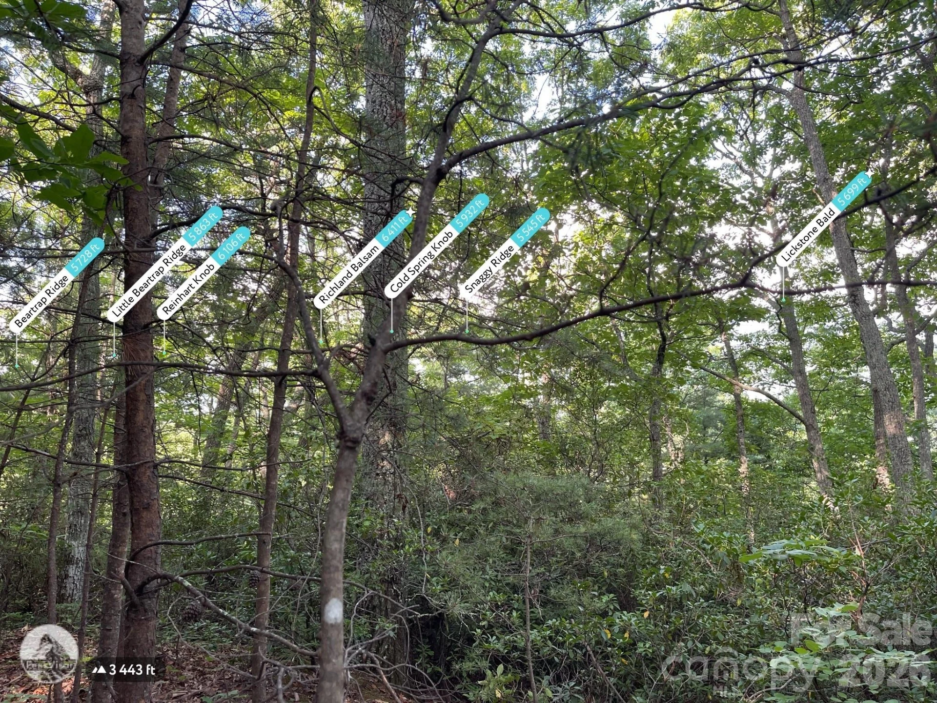225 Lucerne Drive - Photo 5