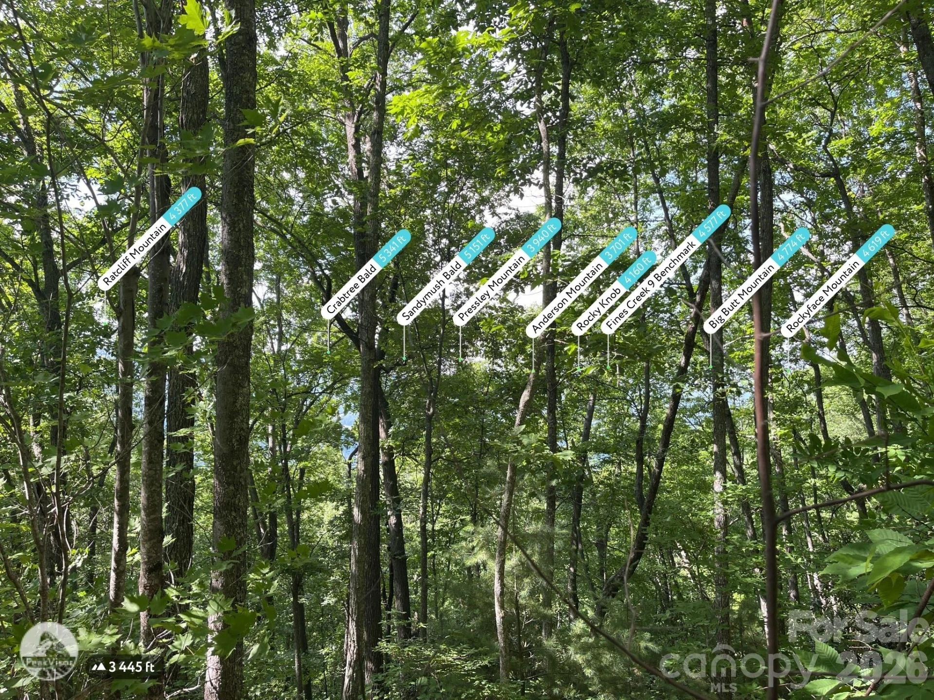 225 Lucerne Drive - Photo 7
