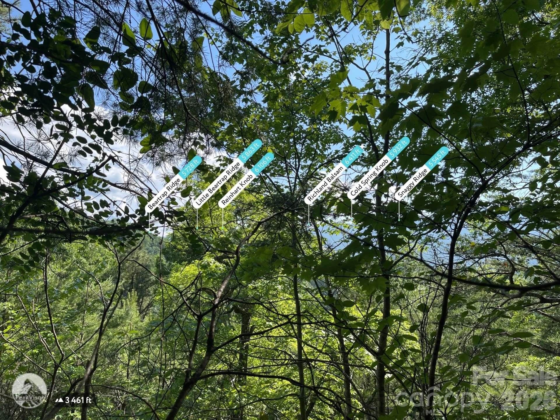 225 Lucerne Drive - Photo 9