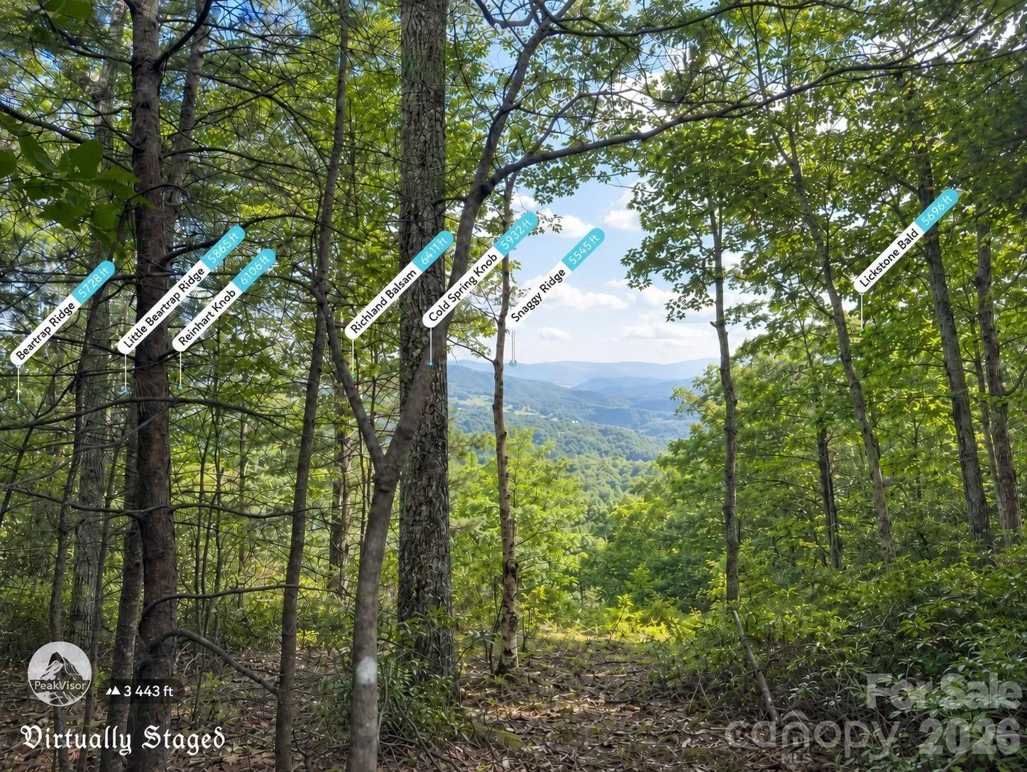 225 Lucerne Drive - Photo 10