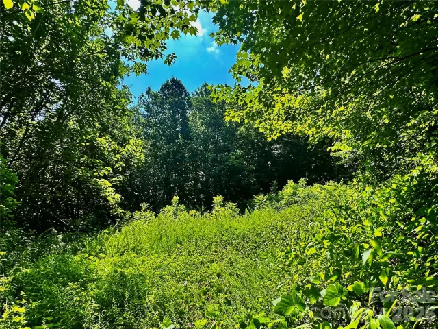 75 Fork Creek Road, Saluda, NC, 28773