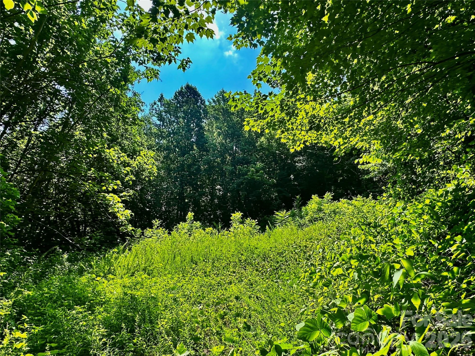 75 Fork Creek Road