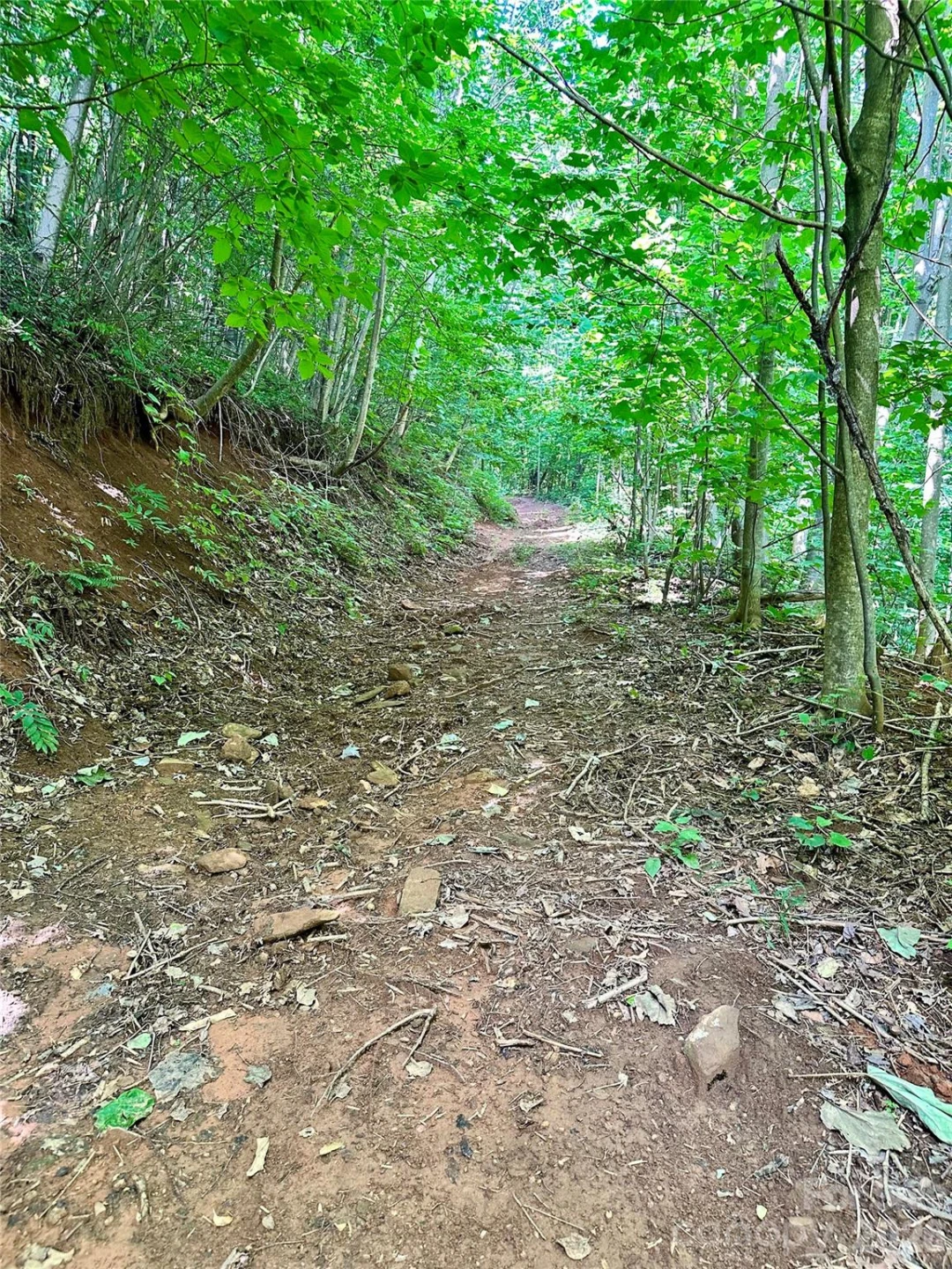 75 Fork Creek Road - Photo 2