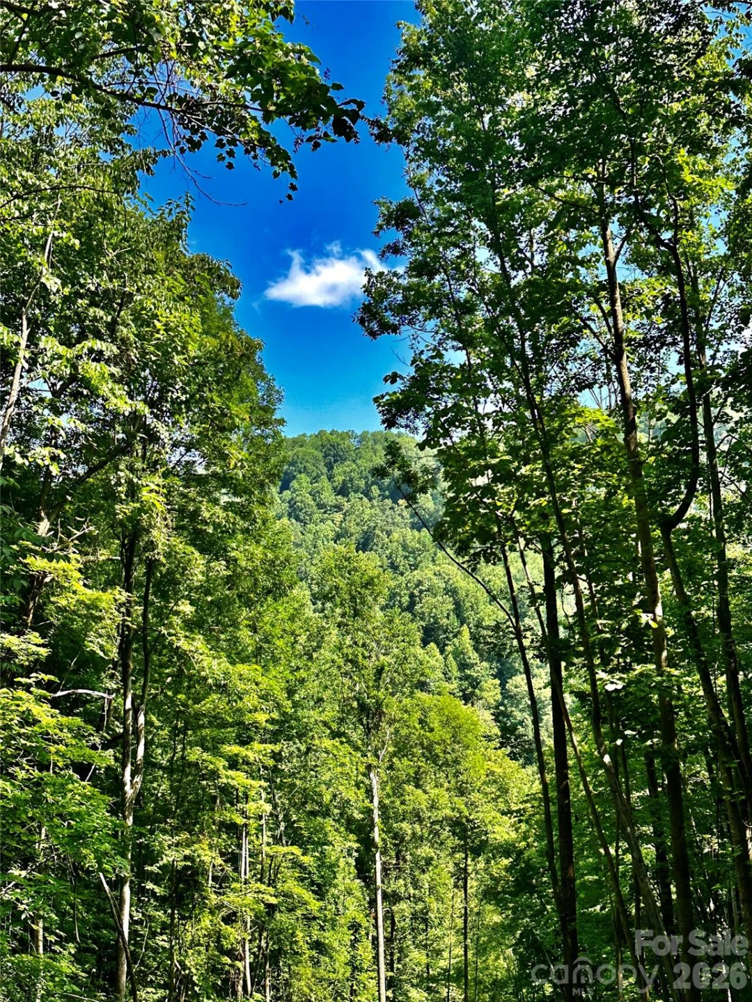 75 Fork Creek Road - Photo 11