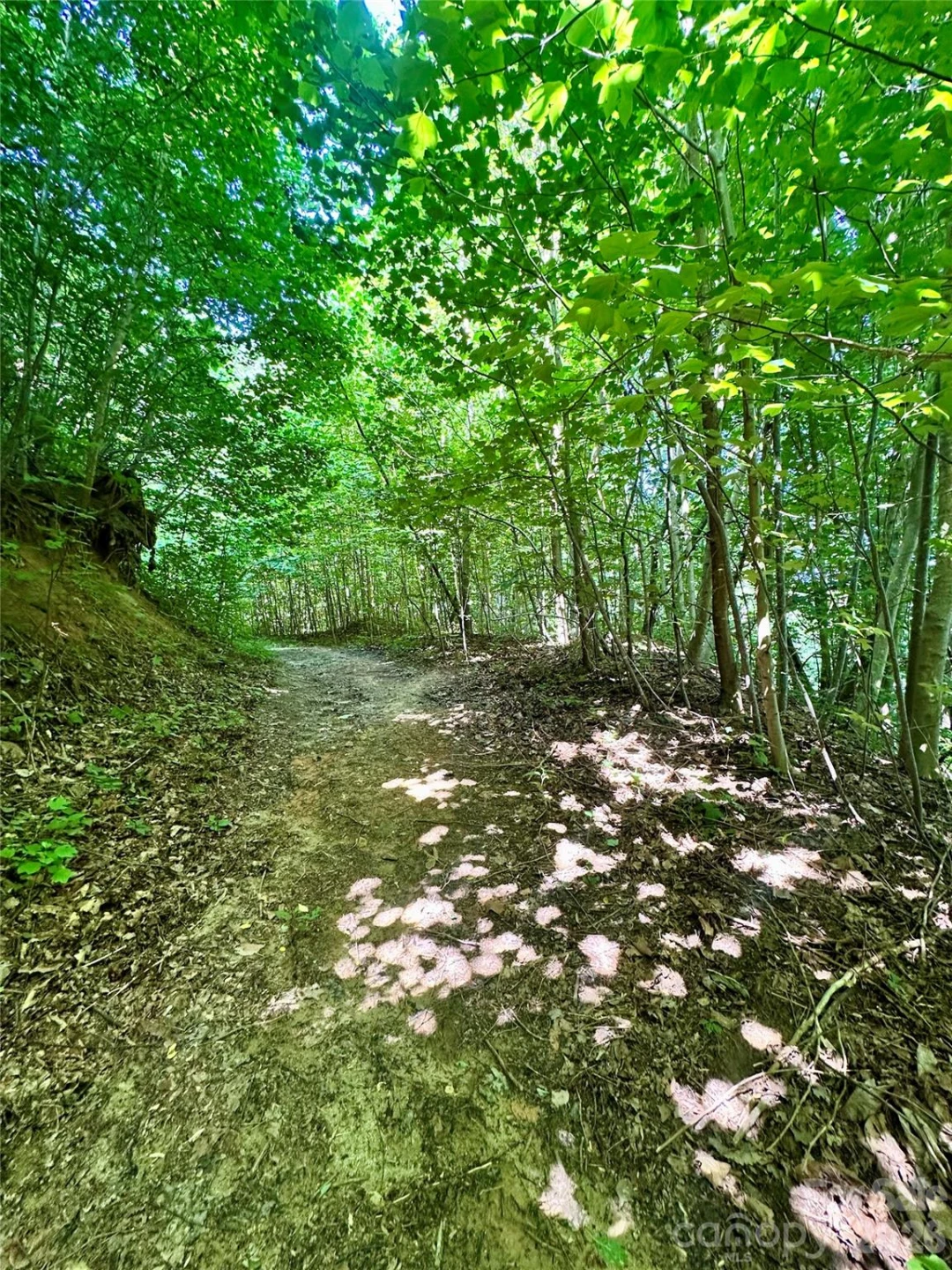 75 Fork Creek Road - Photo 17