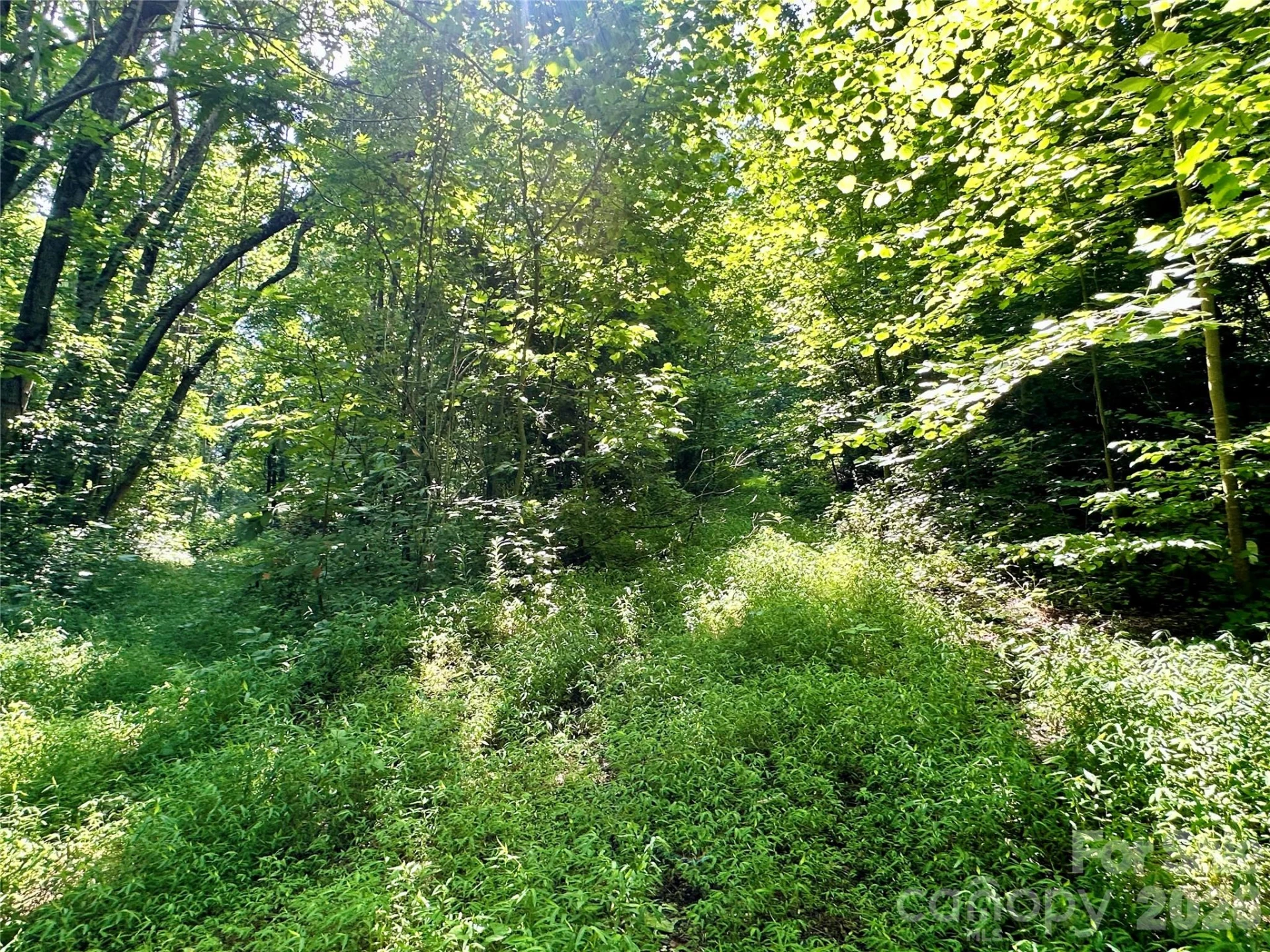 75 Fork Creek Road - Photo 20
