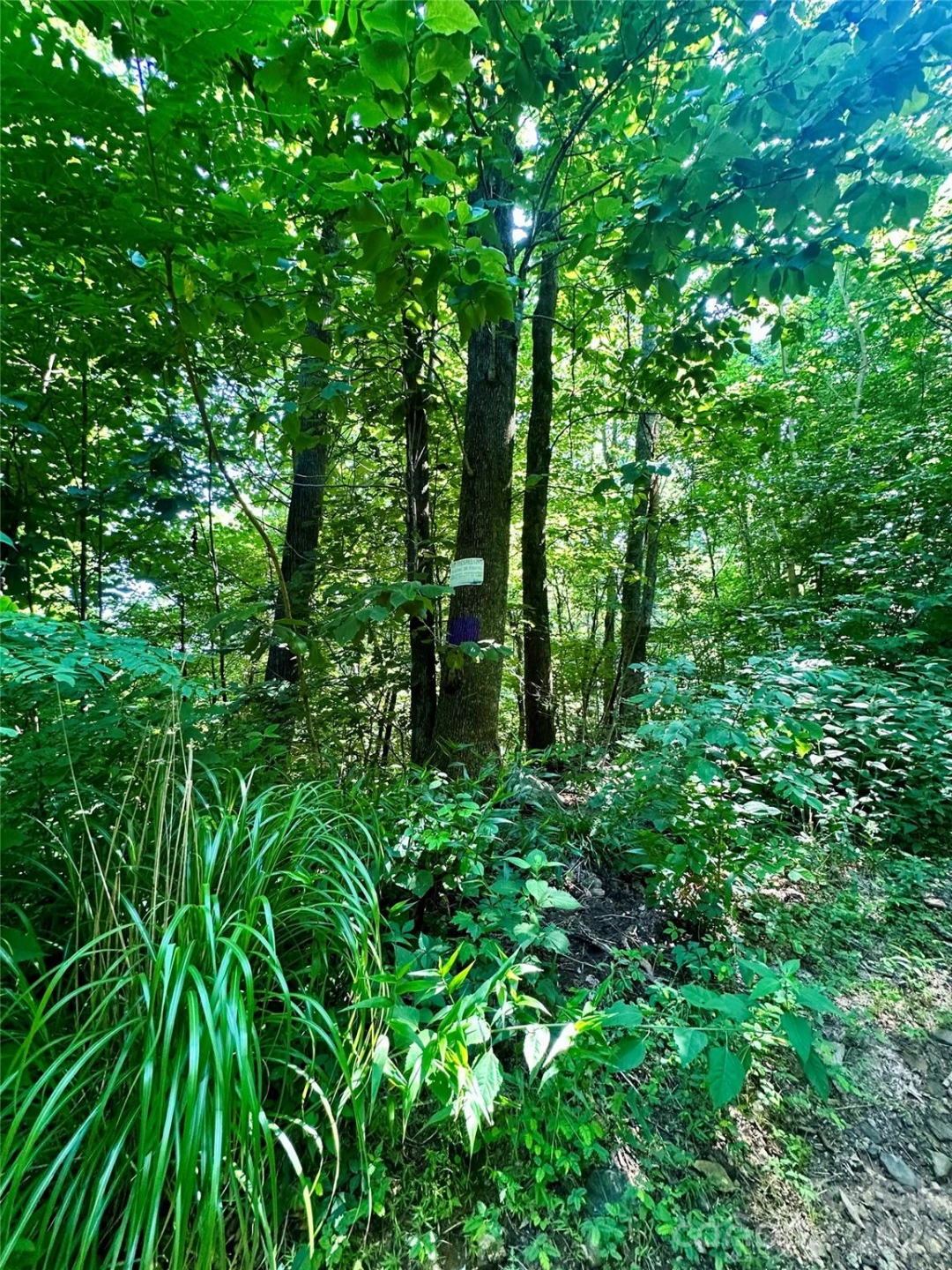 75 Fork Creek Road - Photo 24