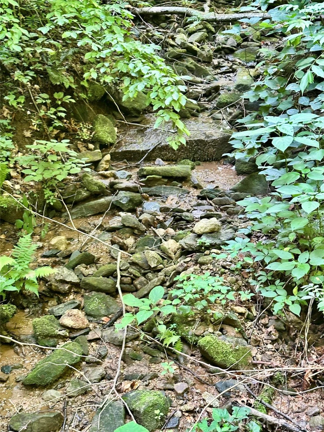 75 Fork Creek Road - Photo 26