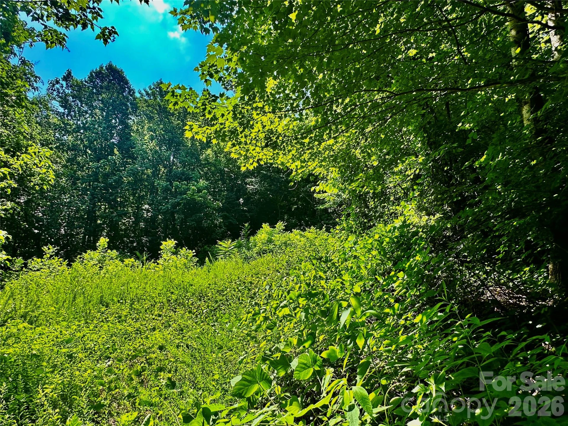 75 Fork Creek Road - Photo 4