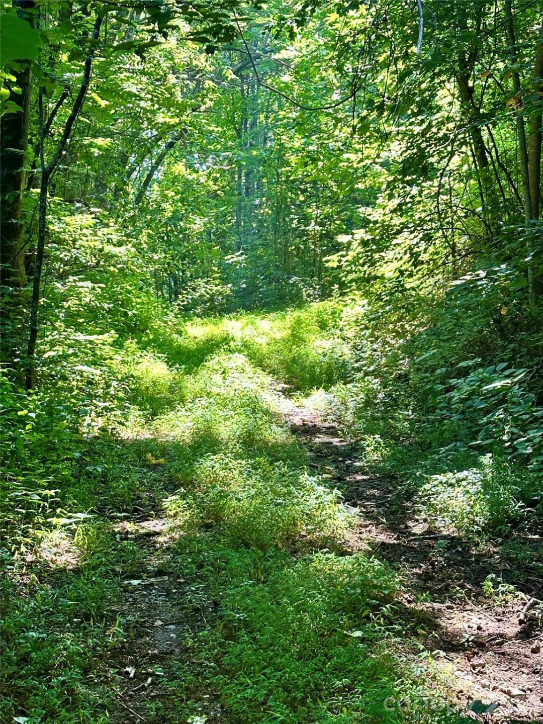 75 Fork Creek Road - Photo 5