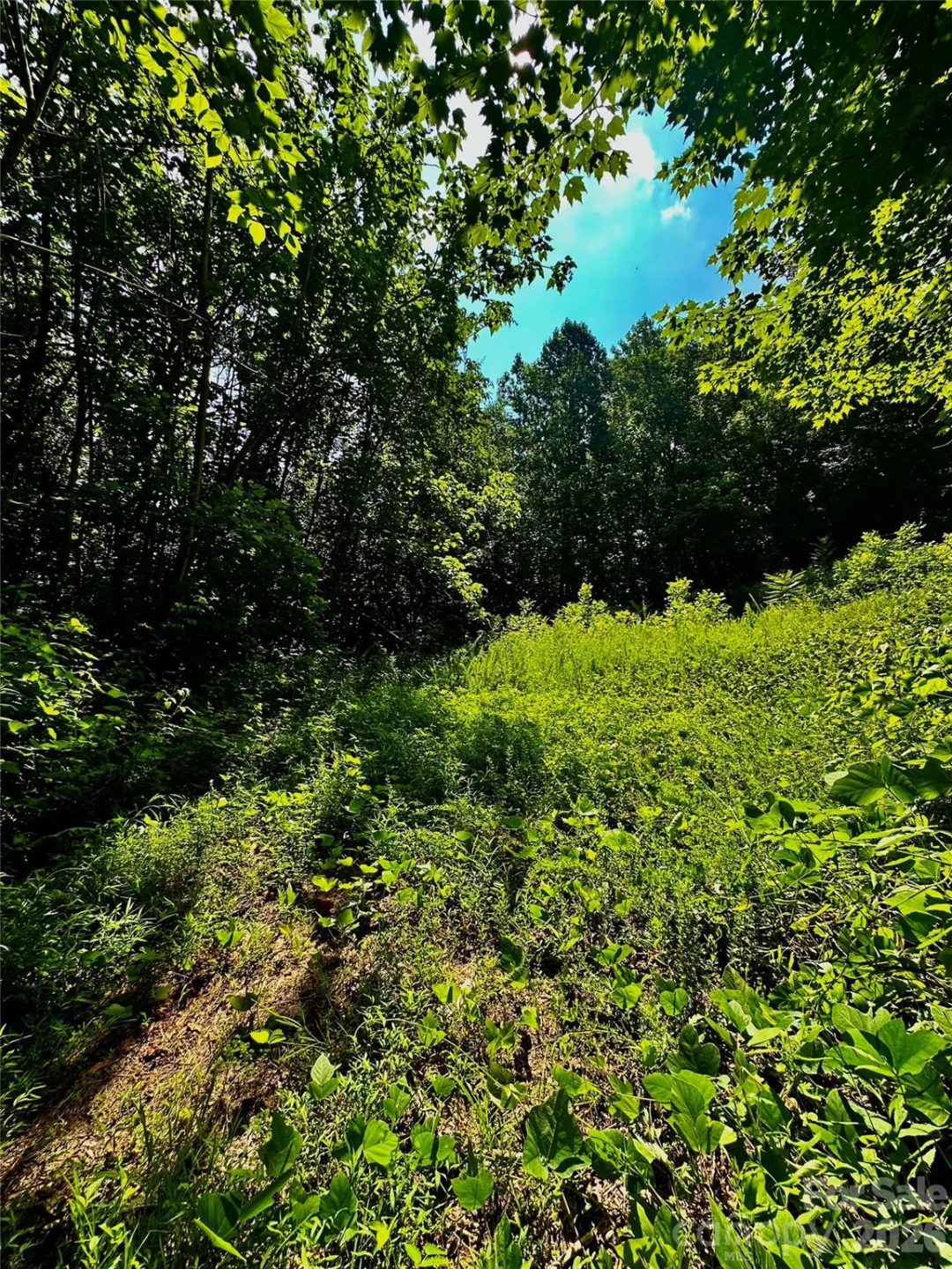 75 Fork Creek Road - Photo 6